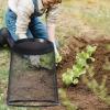 Garden Cloches Metal Wire Protective Cage Against Animals view 2
