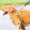 NINMORTH Reflective No-Pull Dog Harness with Top Handle, Quick-Release Step-In Vest view 2