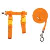 Fabric Small Animal Harness, 2-Piece Leash Set for Rabbits view 1