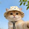 Generico Dog Sun Hat with Wide Brim view 3
