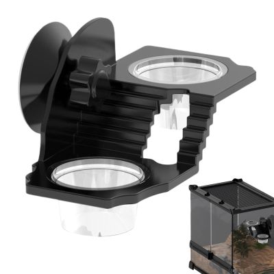 Gecko Feeding Station with Suction Cups, 12 x 8 x 5 cm