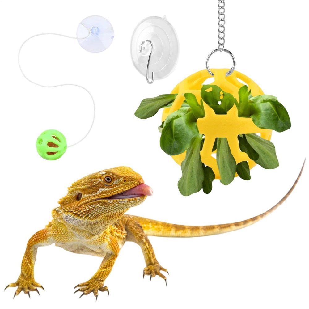 Bearded Dragon Enrichment Toy with Suction-Cup Gecko Feeding Bowl