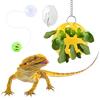 Bearded Dragon Enrichment Toy with Suction-Cup Gecko Feeding Bowl view 1