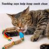 BSITSSS 2-Pack Catnip Cat Chew Ropes, Interactive Silver Vine Toys view 4