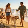 Dog Sunscreen for the Body, Sweat-Resistant, Non-Sticky view 3