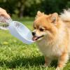 Generic Silicone Dog Water Bowl Attachment for PET Bottles, Green view 4
