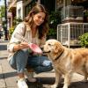 Portable Collapsible Silicone Travel Water Bowl for Dogs view 2