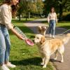 Portable Collapsible Silicone Travel Water Bowl for Dogs view 3