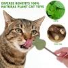 LALAFINA Catnip Lollipops for Cats and Kittens, 4 Pieces, Green view 3
