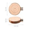 Toyvian 4-Piece Round Wooden Platform Set with Moss Design for Jumping Spider Enclosures view 2