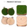 Toyvian 4-Piece Round Wooden Platform Set with Moss Design for Jumping Spider Enclosures view 3