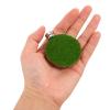 Toyvian 4-Piece Round Wooden Platform Set with Moss Design for Jumping Spider Enclosures view 4
