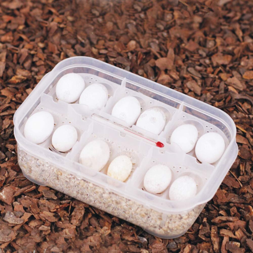 Hidyliu Transparent Reptile Incubation Box for Safe Hatching of Geckos, Snakes and Lizards, 6.50 x 4.33 x 2.05 in, Plastic, 1 Unit