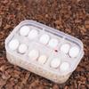 Hidyliu Transparent Reptile Incubation Box for Safe Hatching of Geckos, Snakes and Lizards, 6.50 x 4.33 x 2.05 in, Plastic, 1 Unit view 1