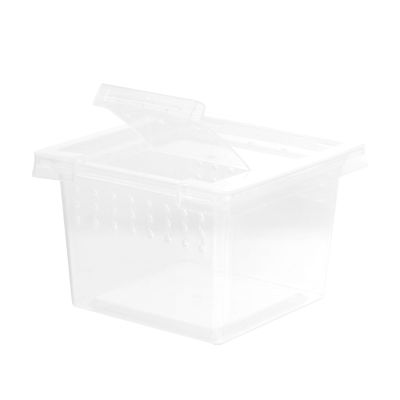 Ciieeo Lightweight Portable Plastic Reptile Breeding Box for Spiders and Hermit Crabs