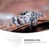 Ciieeo Lightweight Portable Plastic Reptile Breeding Box for Spiders and Hermit Crabs view 3