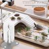LALADEFIEE ABS Turtle Shell Brush with Suction Cup view 4