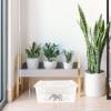 Transparent Plastic Reptile Pet Box with Double Opening view 4