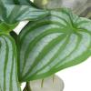 SIXRUN Reptile Artificial Leaves, 24.9 cm, Soft Plastic Plant for Reptile Tanks, Non-Toxic, 1 Piece view 3