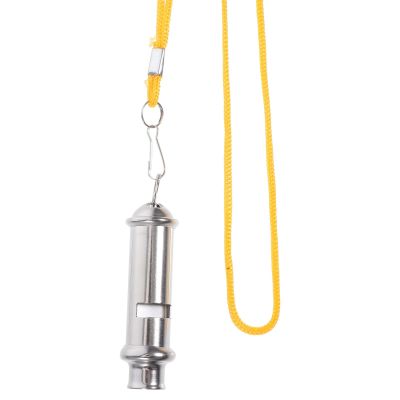 VOSAREA Stainless Steel Training Whistle for Pigeons and Parrots, Silver