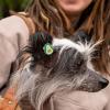 YOSADIER 10 Elastic Dog Hair Ties, Fabric and Plastic view 4