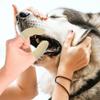 POPETPOP 12-Pack Washable Polyester Finger Toothbrushes for Dogs and Puppies view 4
