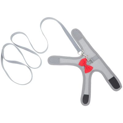 Adjustable Mesh Rabbit Harness and Leash with Bow