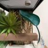 Leaf-Shaped Turtle Basking Area with Suction Cups view 3