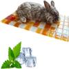 Cooling Mat for Rabbits and Hamsters, Cooling Cushion, Scratch-Resistant (Orange) view 1