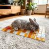 Cooling Mat for Rabbits and Hamsters, Cooling Cushion, Scratch-Resistant (Orange) view 2